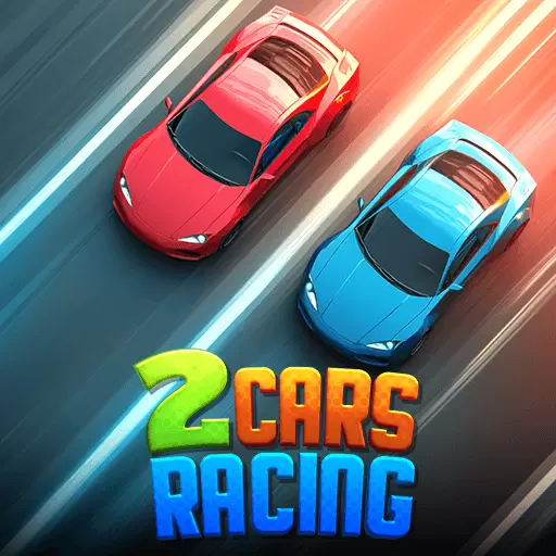 2 Cars Racing